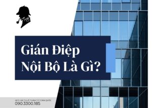 Gián Điệp Nội Bộ Là Gì