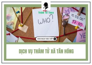 Những Ưu Điểm Nổi Bật Tại Thám Tử Xã Tân Hồng Tỉnh Đồng Tháp