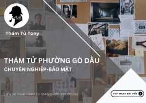 Nhu cầu thuê thám tử Phường Gò Dầu: Tại sao ngày càng gia tăng?