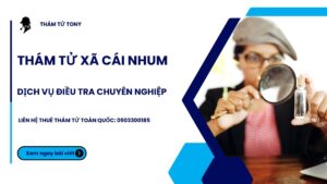 Khám Phá Dịch Vụ Thám Tử Xã Cái Nhum: Đặc Điểm, Lợi Ích và Chi Phí