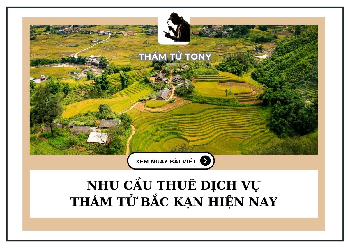 nhu cau thue dich vu tham tu bac kan hien nay 1